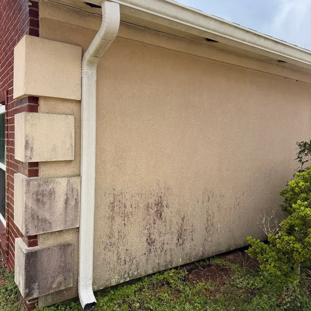 Pressure Washing Before and After