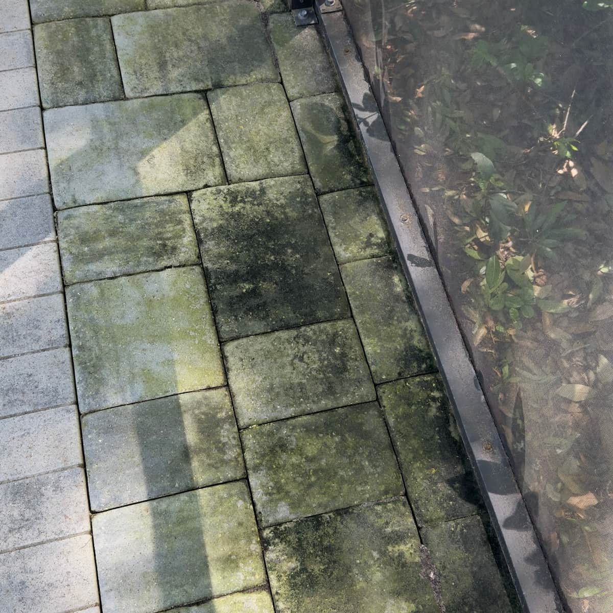 Mold and algae removal from house exterior in Jacksonville