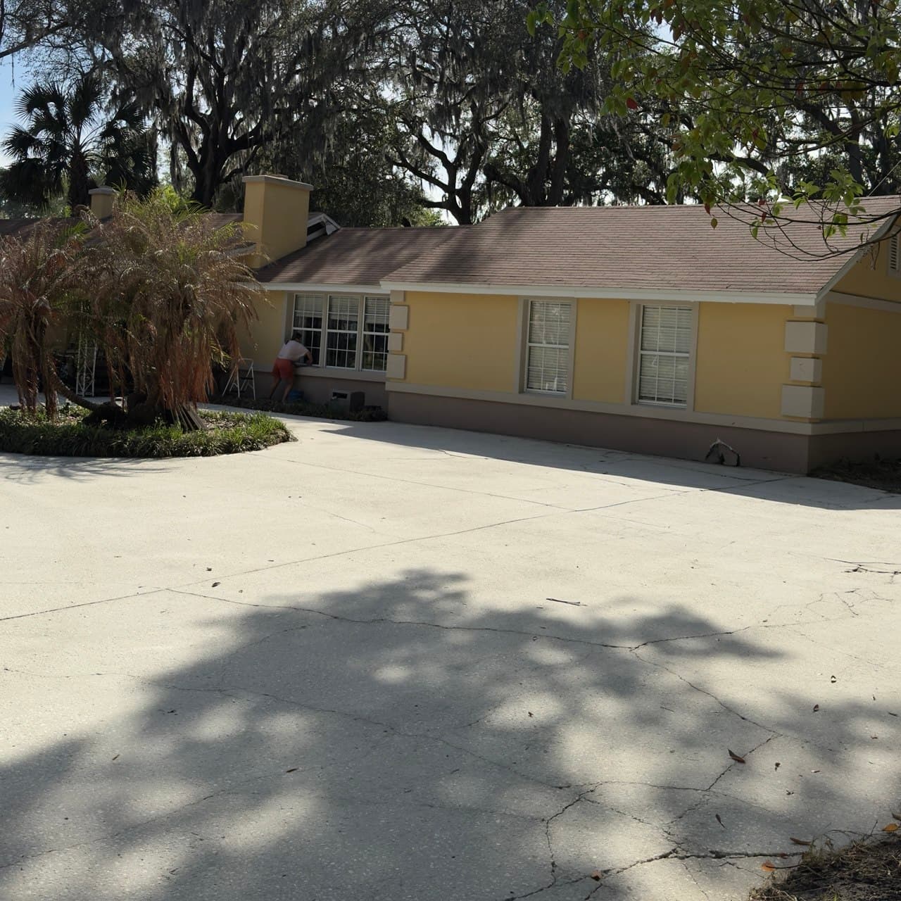 Professional driveway surface cleaning results