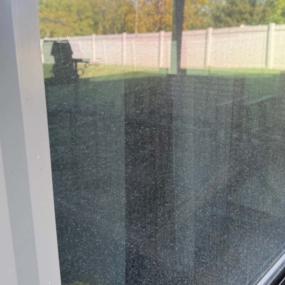 Pure water window cleaning results for residential home