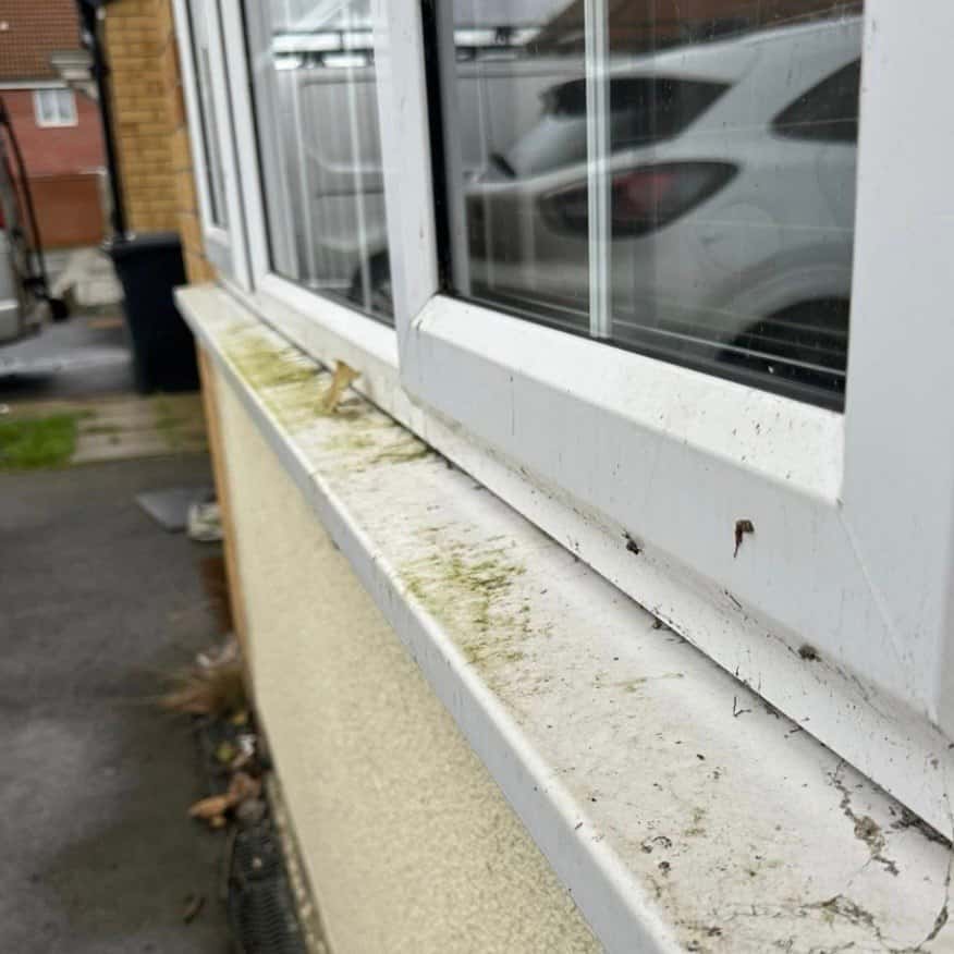 Pure water window cleaning results for residential home