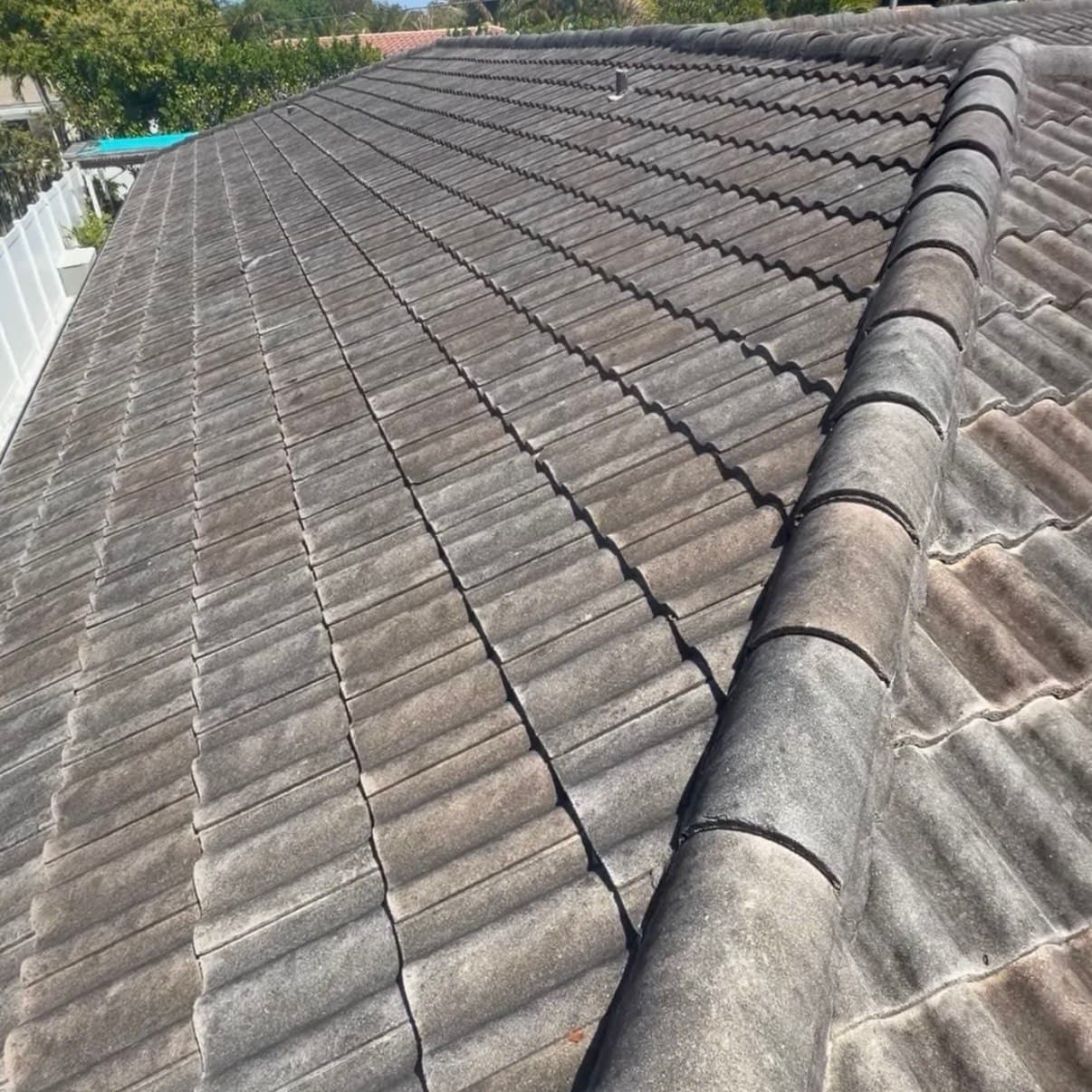 Black streak and algae removal from roof cleaning