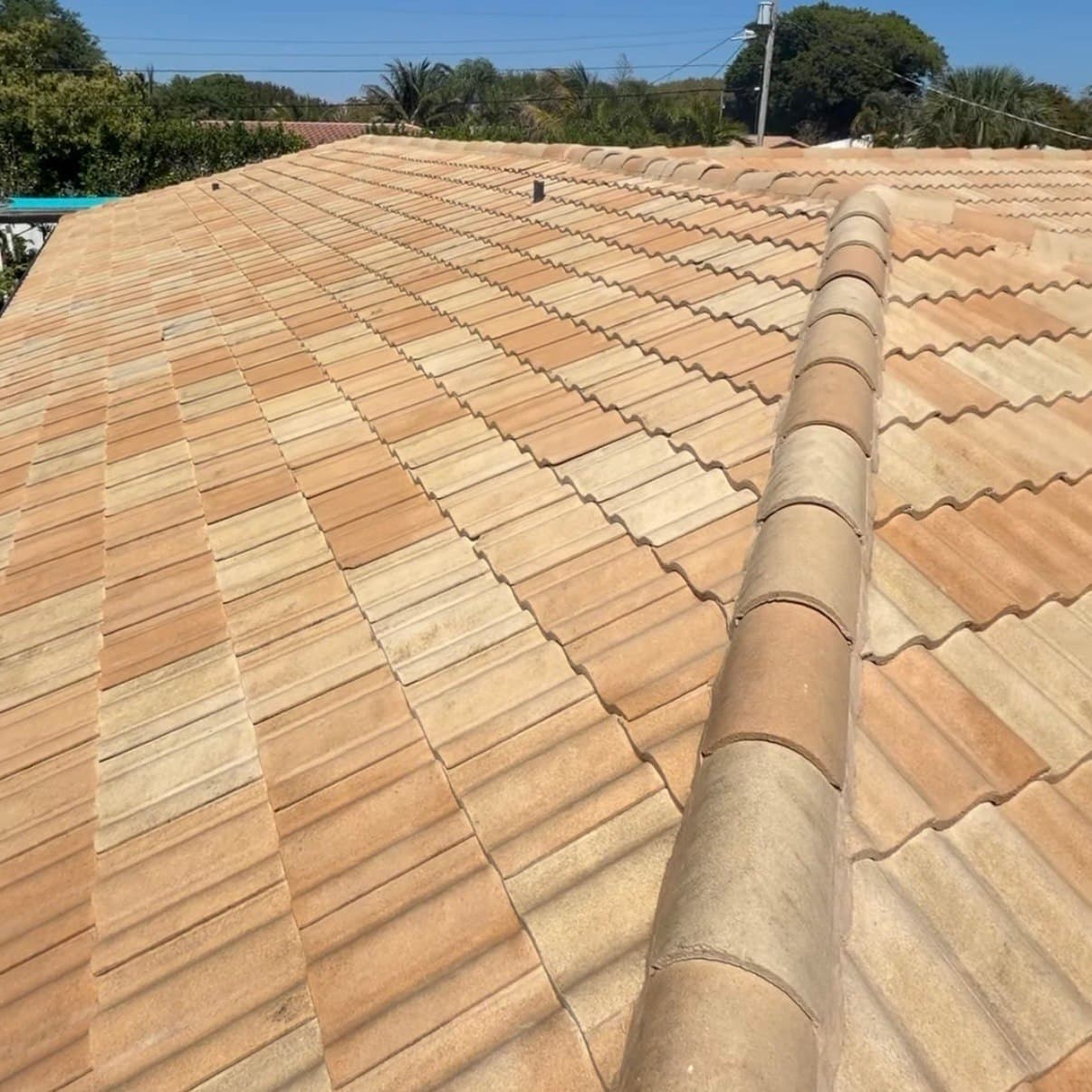 Roof soft wash before and after in Jacksonville, FL