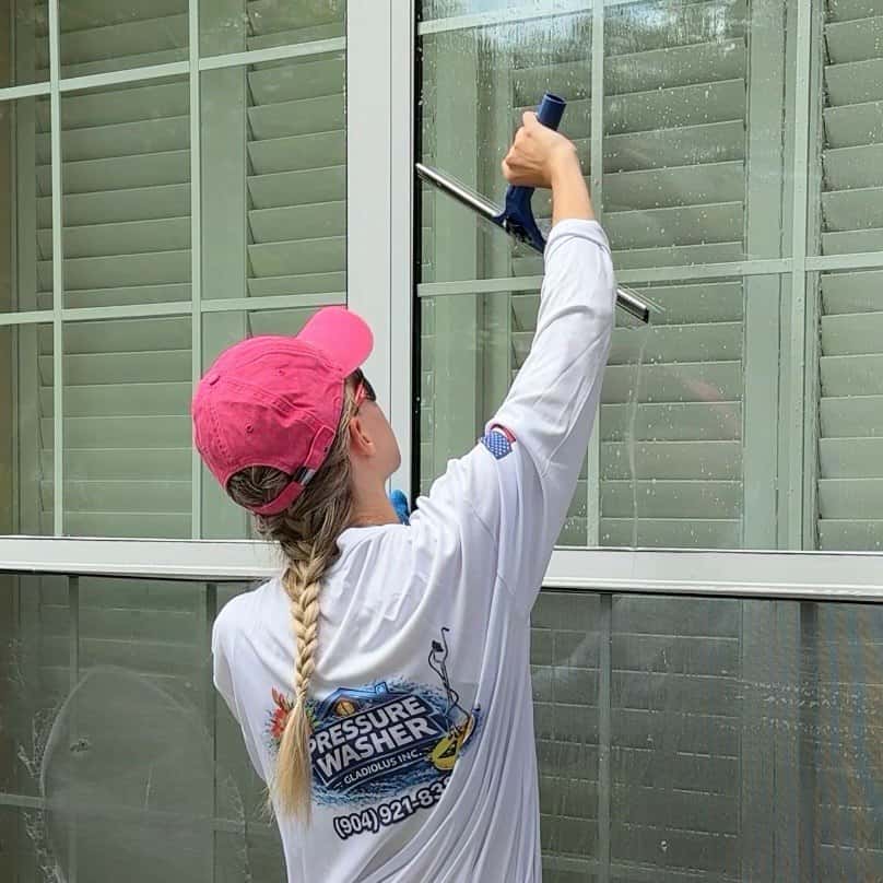 Pure water window cleaning results for residential home