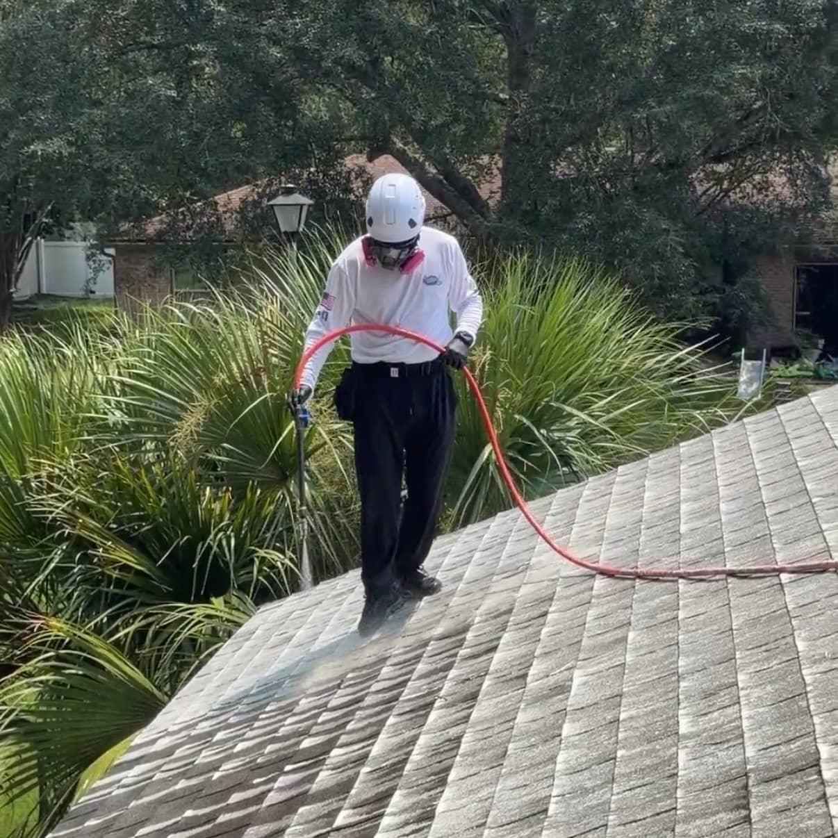 Black streak and algae removal from roof cleaning